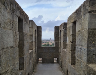 Vue sur la ville et la cité de Carcassonne