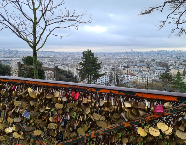 Vue sur Paris depuis la tour Eiffel